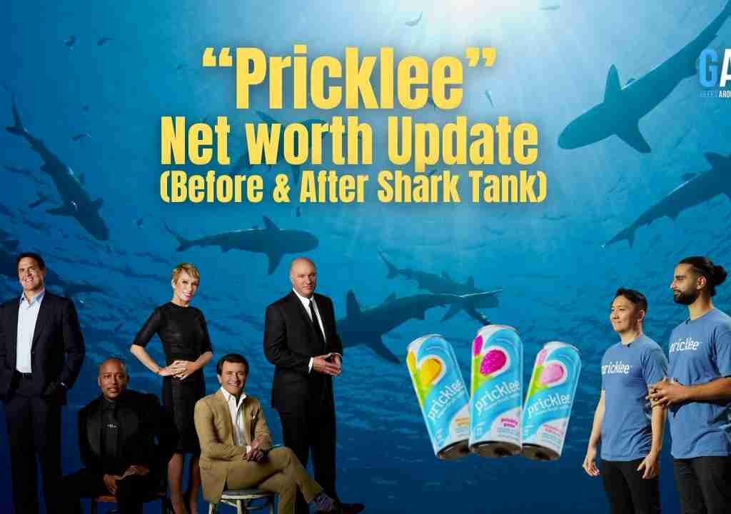 Pricklee-Net-worth-Update-Before-After-Shark-Tank